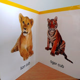 My First Book of Baby Animals: First Board Book