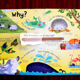 Usborne Lift-the-flap Questions and Answers about Animals