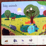 Usborne Lift-the-flap Nature