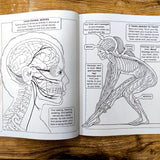 My First Book About the Five Senses (With full-page illustrations to color)