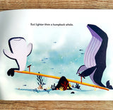 How Big Is a Whale Shark?