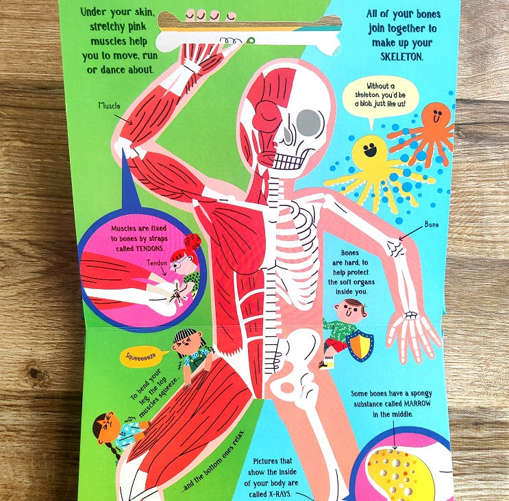 Step inside Science: Your Body by Usborne : Booksetgo – BOOKSETGO
