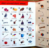 My First All in One: Bilingual Picture Book for Kids Hindi-English