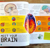 How to be a Maths Genius: Your Brilliant Brain and How to Train It