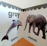 My First Book of Colours: First Board Book