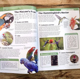 Knowledge Encyclopedia - Animals