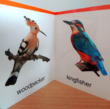 My First Book of Birds: First Board Book