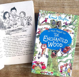 The Magic Faraway Tree: The Enchanted Wood