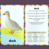 My First Animals: 16 colourful early learning cards