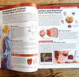 Knowledge Encyclopedia - Human Body