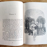 The Room on the Roof