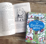 The Magic Faraway Tree: The Enchanted Wood