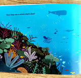 How Big Is a Whale Shark?