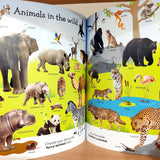 1000 Useful Words: Build Vocabulary and Literacy Skills (Paperback)