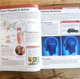 Knowledge Encyclopedia - Human Body