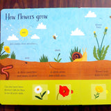 Usborne Lift-the-flap Nature