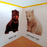 My First Book of Baby Animals: First Board Book