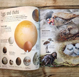 The Extraordinary World of Birds