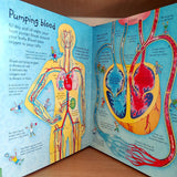 See Inside Your Body (Usborne Flap Books)