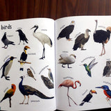 My First 500 Words: Early Learning Picture Book