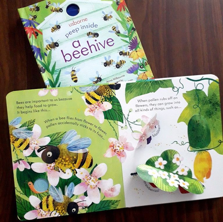 Peep Inside a Beehive (Usborne) by Anna Milbourne : Booksetgo
