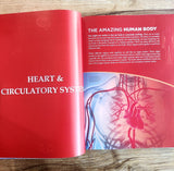 Knowledge Encyclopedia - Human Body