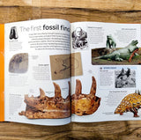 Dinosaur - with wall chart (DK Eyewitness)