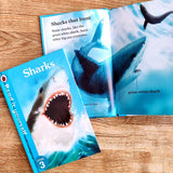 Sharks - Read it yourself with Ladybird: Level 3 
