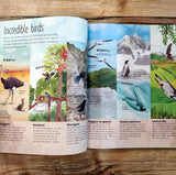 The Extraordinary World of Birds