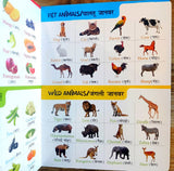 My First All in One: Bilingual Picture Book for Kids Hindi-English