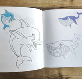 Little Artist Series Sea Animals : Copy Colour Books