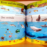 1000 Useful Words: Build Vocabulary and Literacy Skills (Paperback)