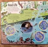 See Inside The Microscopic World (An Usborne Flap Book)