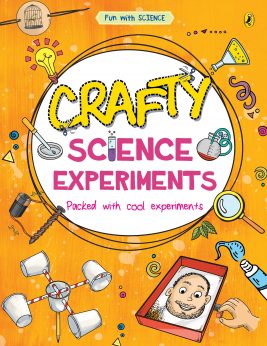 Crafty Science Experiments (Fun with Science)