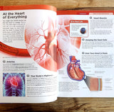 Knowledge Encyclopedia - Human Body
