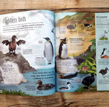 The Extraordinary World of Birds