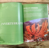 Knowledge Encyclopedia - Animals