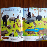 1000 Useful Words: Build Vocabulary and Literacy Skills