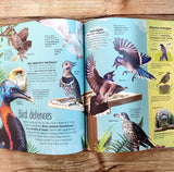 The Extraordinary World of Birds