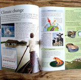 The New Children's Encyclopedia