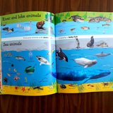 1000 Useful Words: Build Vocabulary and Literacy Skills