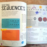 How to be a Maths Genius: Your Brilliant Brain and How to Train It