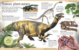 First Dinosaur Encyclopedia: A First Reference Book for Children
