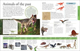 The New Children's Encyclopedia: Packed with Thousands of Facts, Stats, and Illustrations