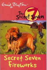 Secret Seven: 11: Secret Seven Fireworks (Standard)