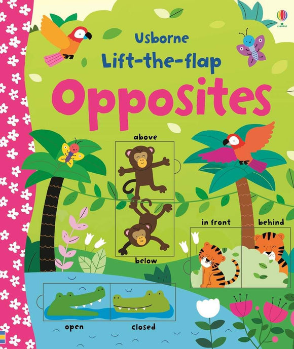 Usborne Lift-the-flap opposites by Melissande Luthringer