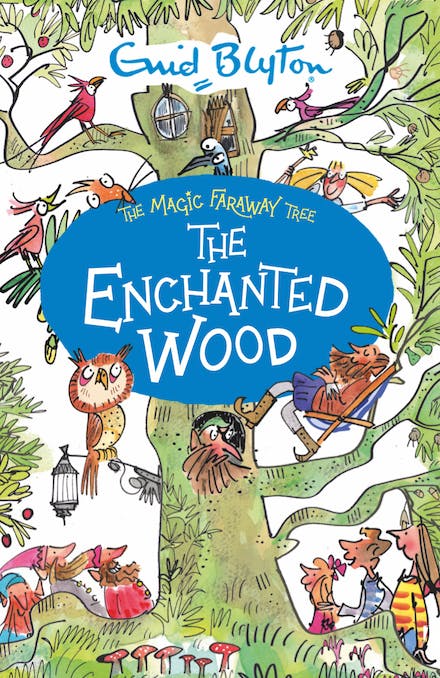 The Magic Faraway Tree: The Enchanted Wood
