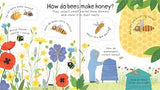 Why Do We Need Bees? (Usborne Lift-the-Flap First Questions and Answers)