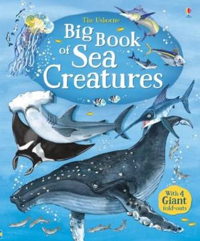 The Usborne Big Book of Sea Creatures by Minna Lacey