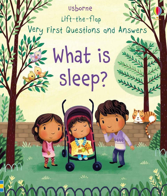 What is Sleep? (Usborne Lift the Flap Very First Questions & Answers) by Katie Daynes